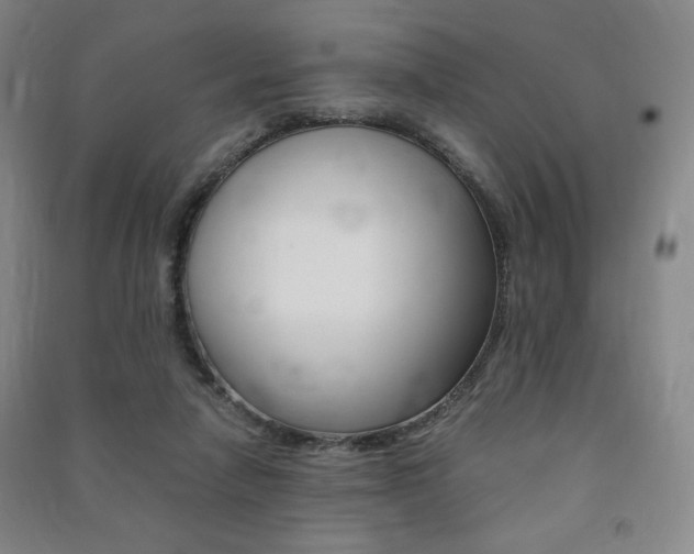 X0000091490258200708161216