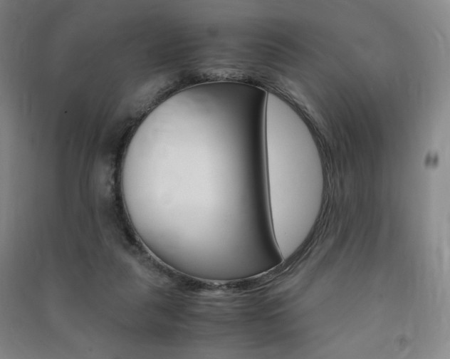 X0000091490259200708161216
