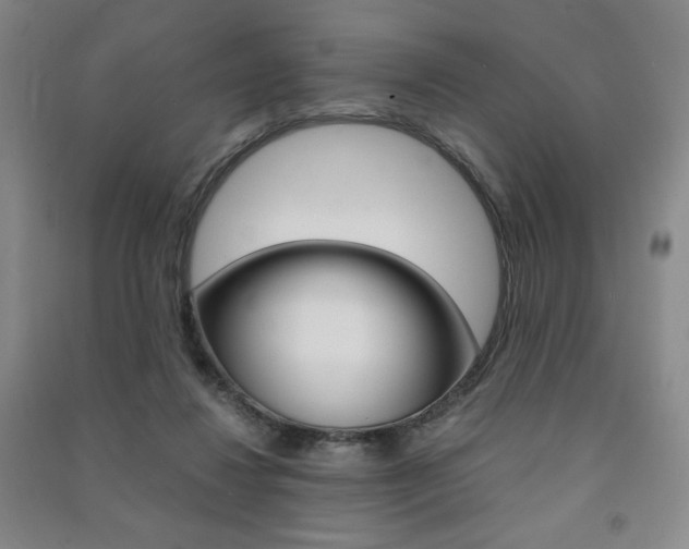 X0000091490260200708161216