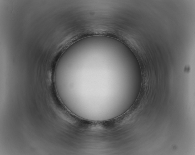 X0000091490262200708161216