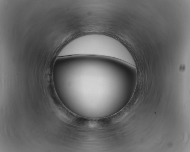 X0000091490264200708161216