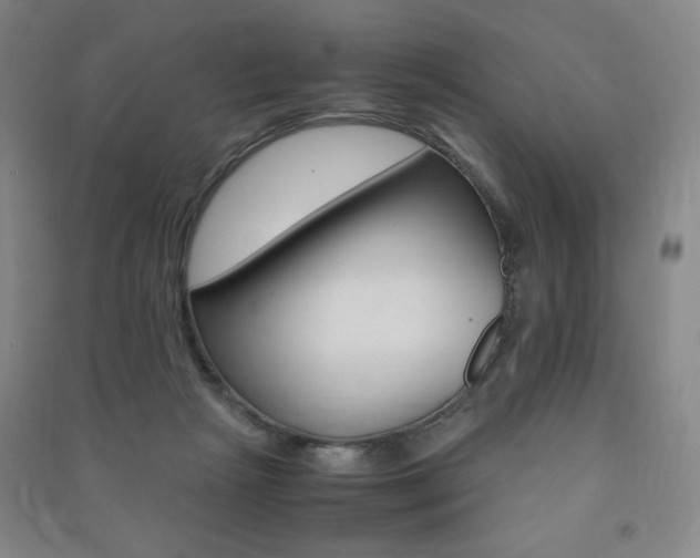 X0000091490265200708161216