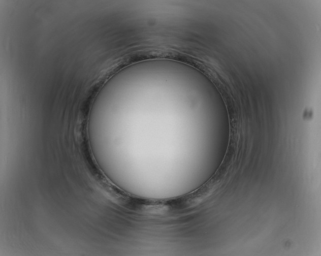 X0000091490266200708161216