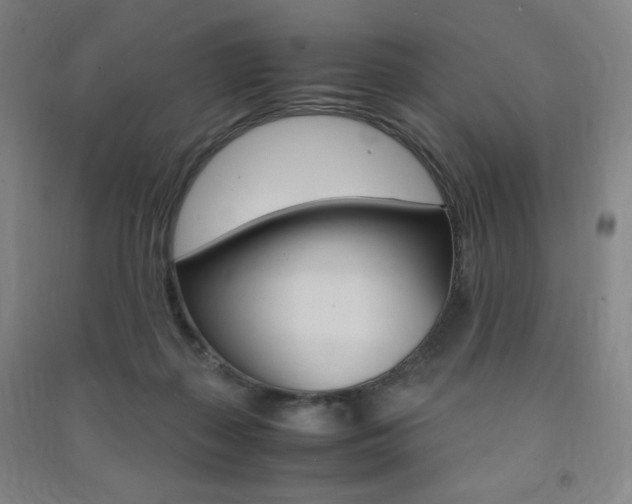 X0000091490267200708161216