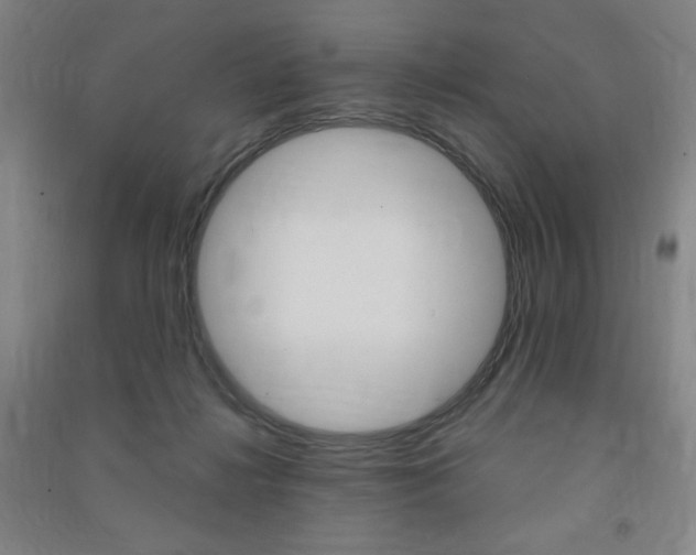 X0000091490268200708161216