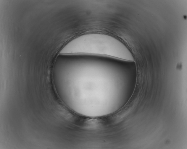 X0000091490269200708161217