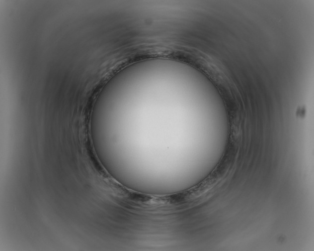 X0000091490270200708161217