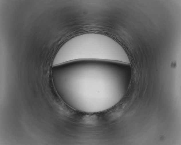 X0000091490271200708161217