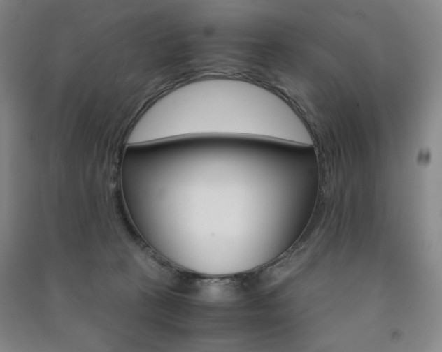 X0000091490273200708161217
