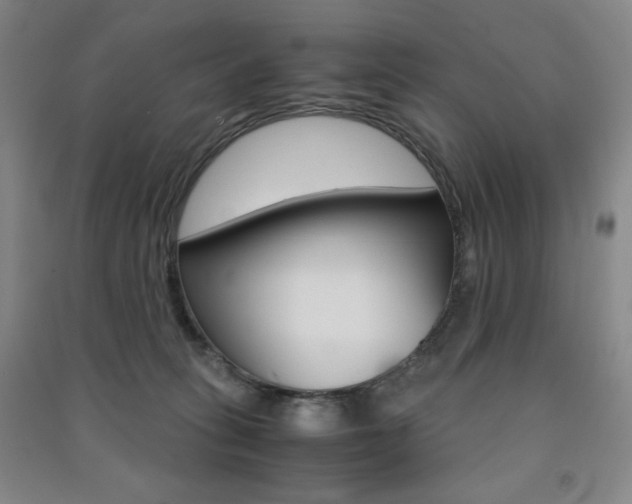 X0000091490275200708161217