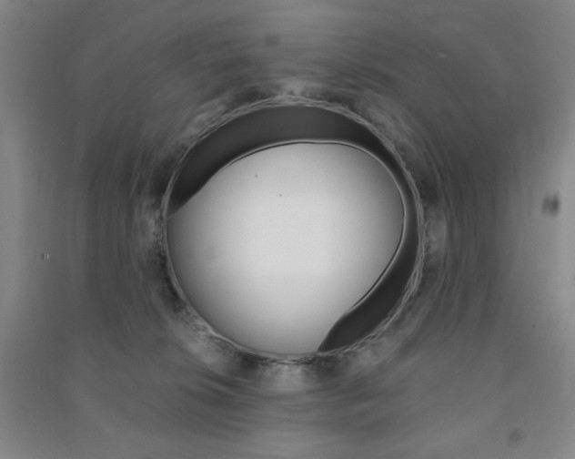 X0000091490276200708161217