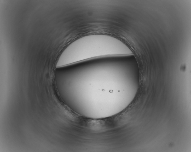 X0000091490277200708161217