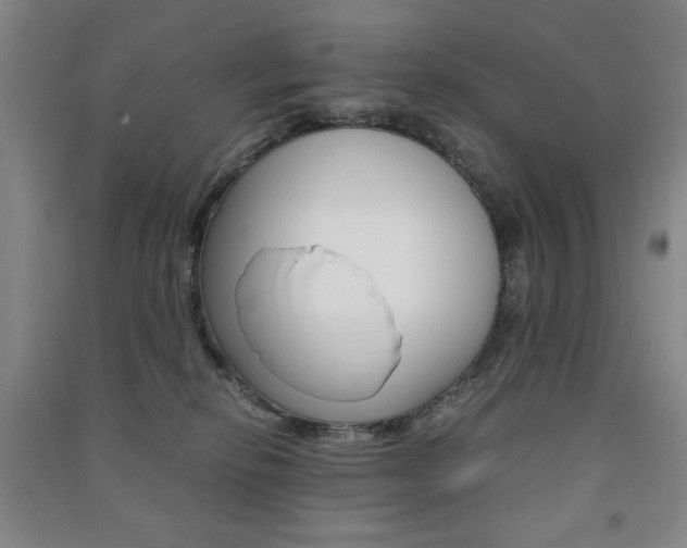 X0000091490278200708161217