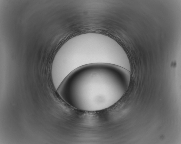 X0000091490280200708161217