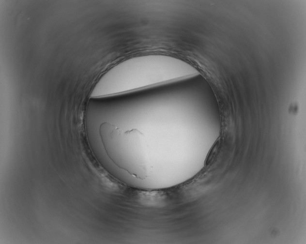 X0000091490281200708161217