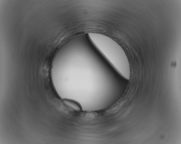 X0000091490282200708161217