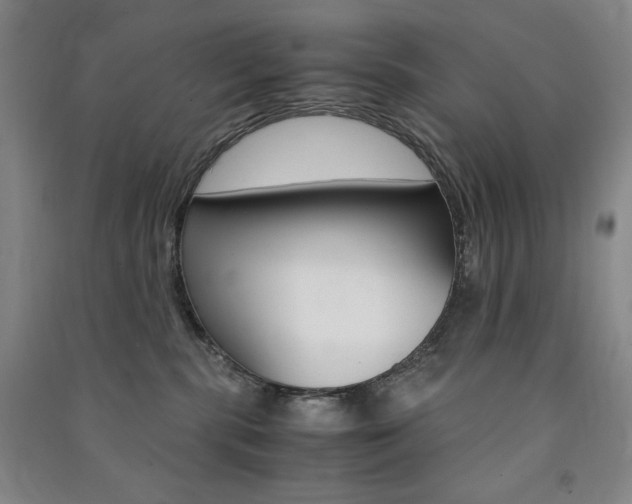 X0000091490283200708161217