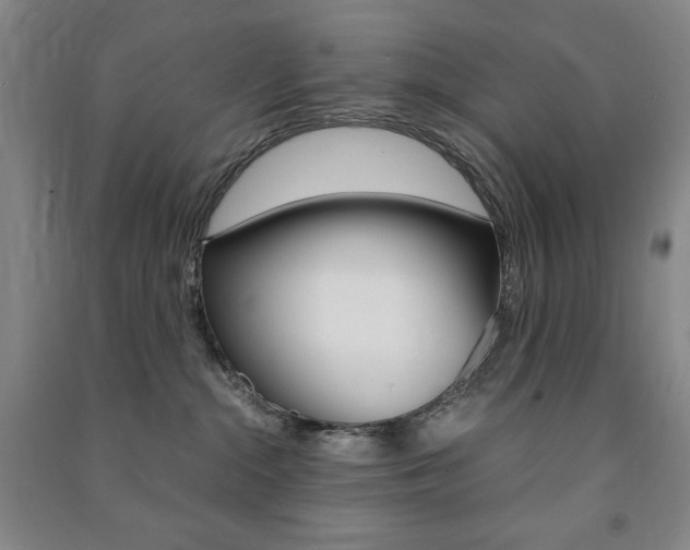 X0000091490284200708161217
