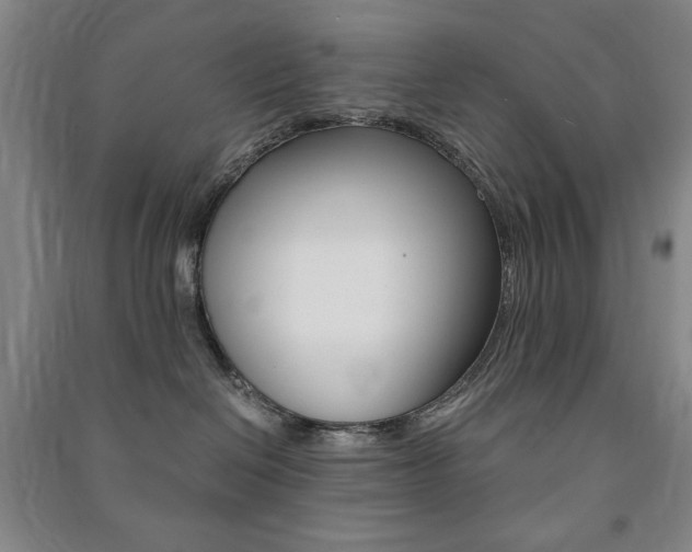 X0000091490286200708161217