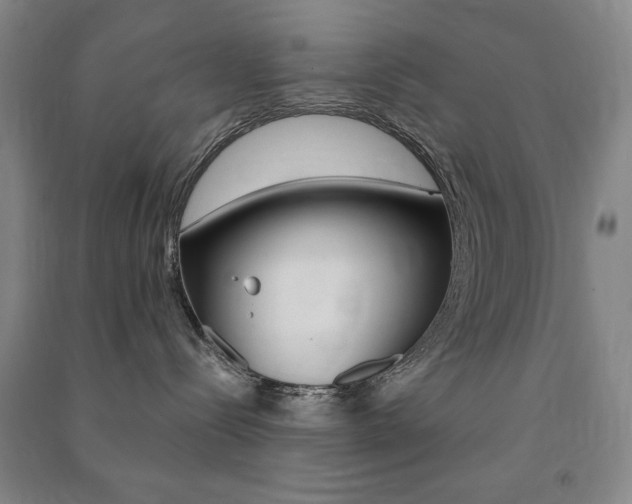 X0000091490288200708161217