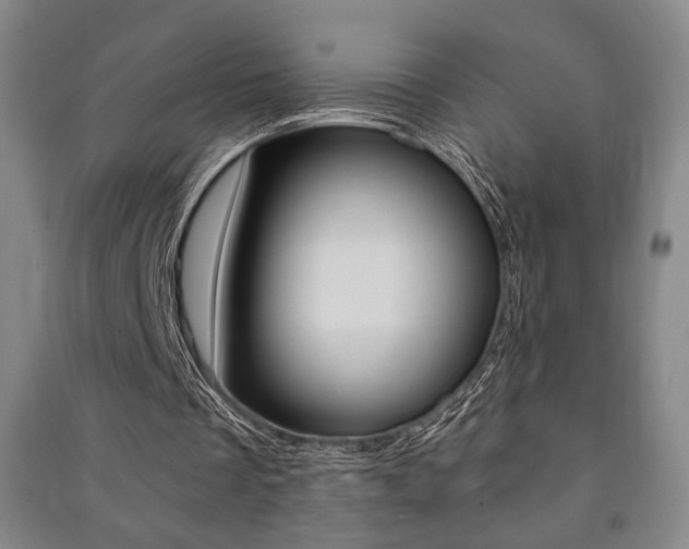 X0000091490289200708161216