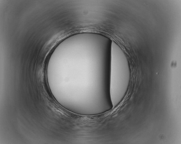 X0000091490290200708161216