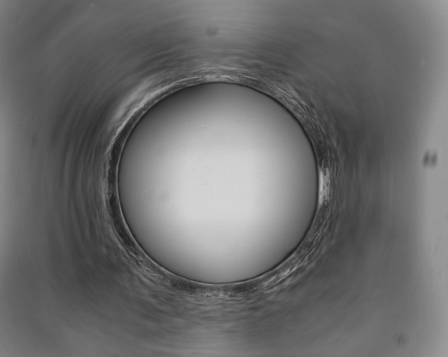 X0000091490291200708161216