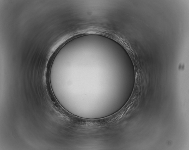 X0000091490292200708161216