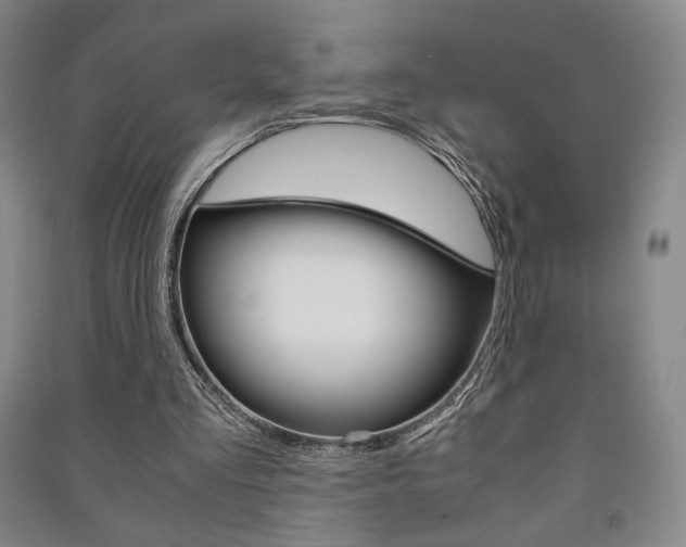 X0000091490293200708161216