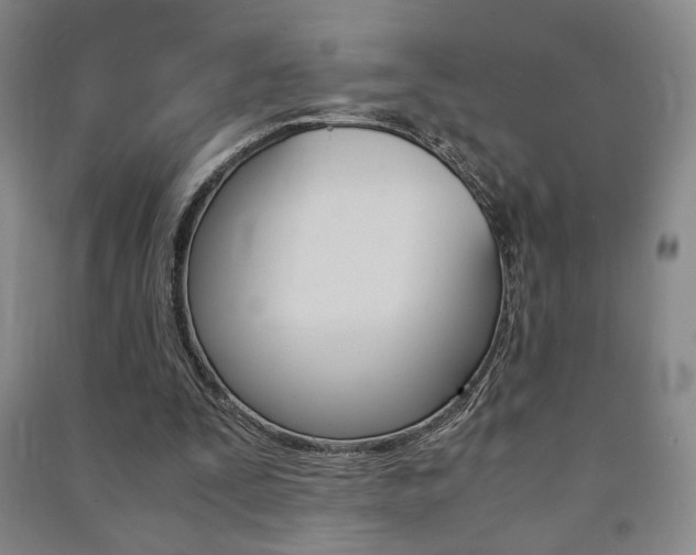 X0000091490295200708161216