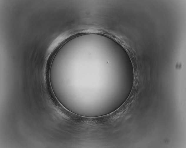 X0000091490296200708161216