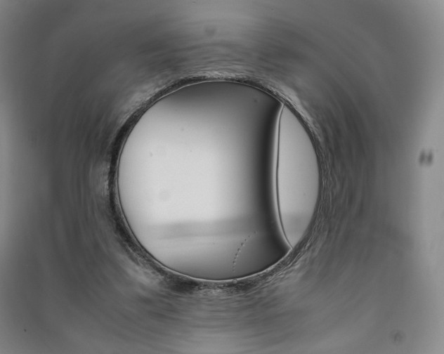 X0000091490299200708161216