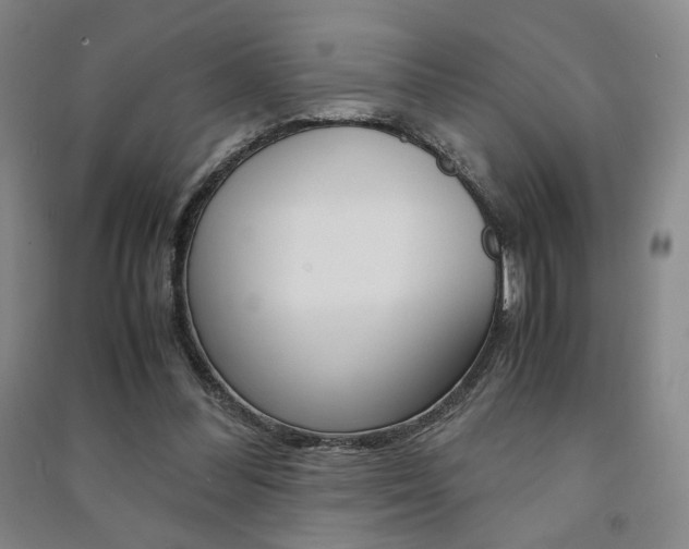 X0000091490300200708161216