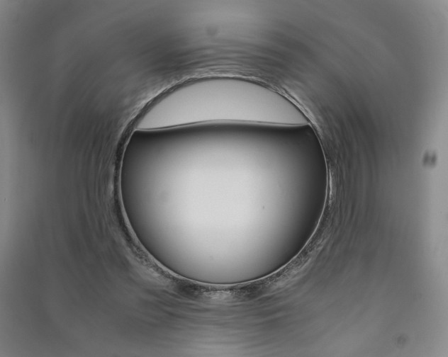 X0000091490301200708161216
