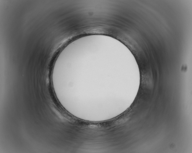 X0000091490302200708161216
