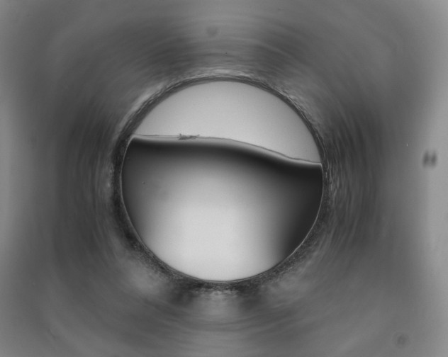 X0000091490304200708161216