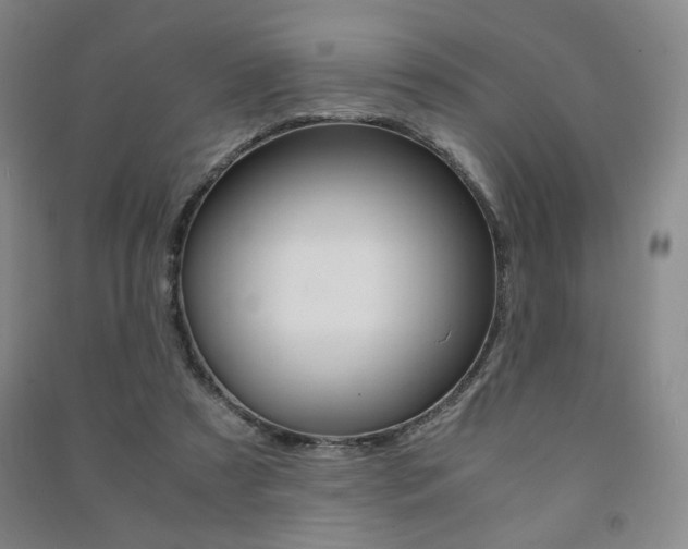X0000091490305200708161216