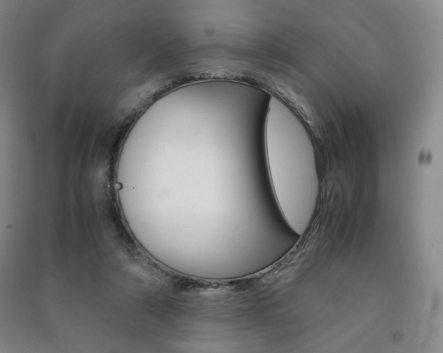 X0000091490306200708161216