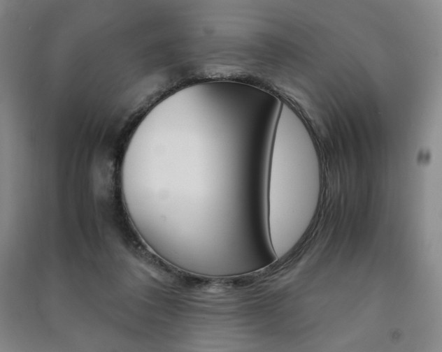 X0000091490308200708161216