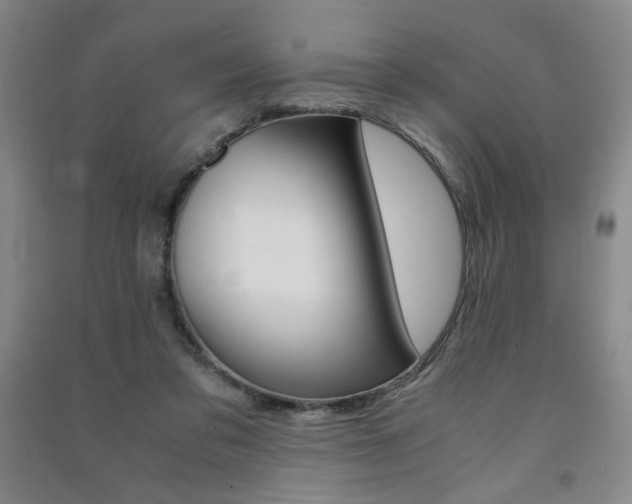 X0000091490309200708161216