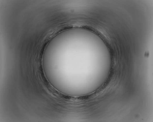X0000091490311200708161216