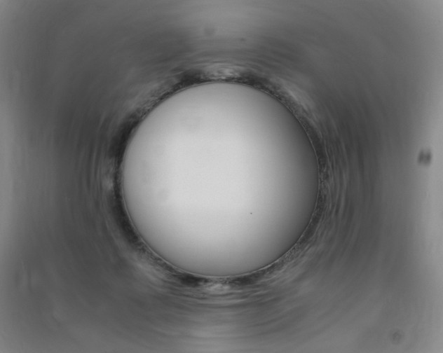 X0000091490315200708161216