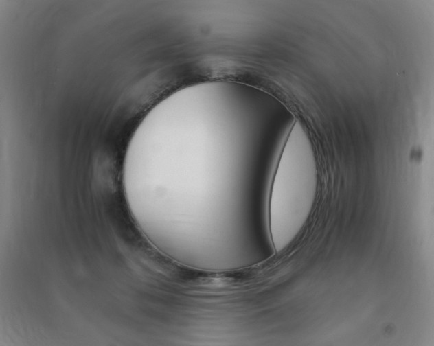 X0000091490316200708161216