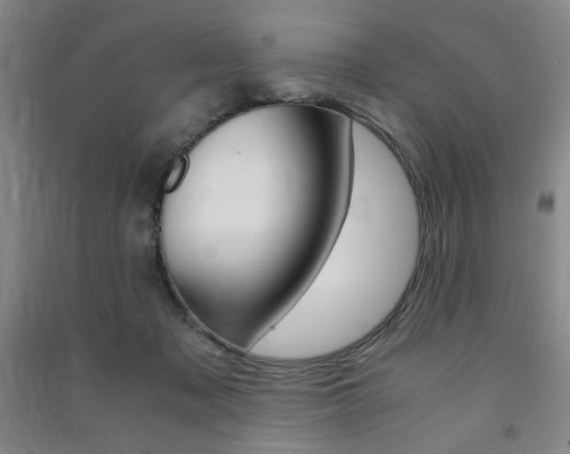 X0000091490317200708161216
