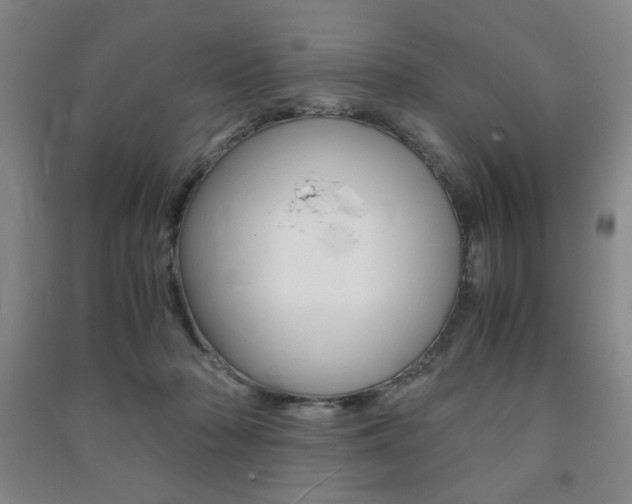 X0000091490318200708161216