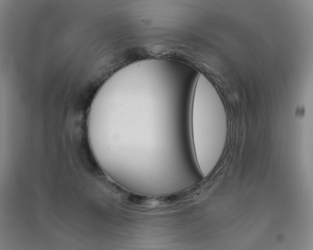 X0000091490319200708161216