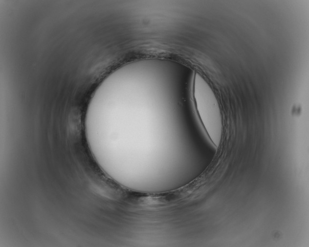 X0000091490320200708161216