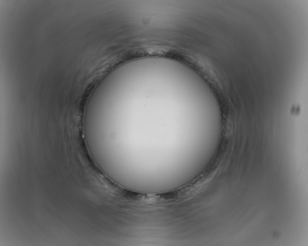 X0000091490321200708161216