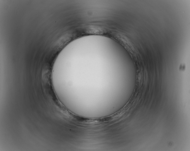X0000091490322200708161216