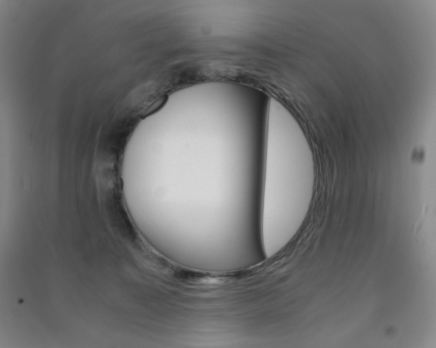 X0000091490323200708161216